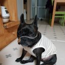 경서동물병원 이미지