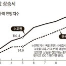 강남-166 이미지