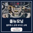 카솔루션제주 이미지