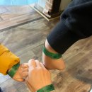 놀자멍멍아(놀멍) | 대전 아기랑 갈만한 실내 [티놀자 애니멀 파크]