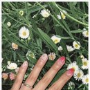 네일 여기 이미지