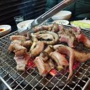 산꼼장어 이미지