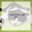 뷰티솔루션 이미지