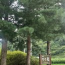 정선뜰펜션 | 강원도 정선 뜰펜션🏠후기