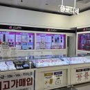 플로디세 네이버블로그