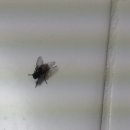 주방천국 이미지