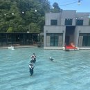 남이섬설리조트1