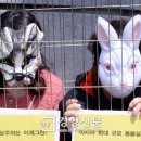 세브란스동물병원 이미지