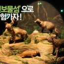 보물섬이벤트 이미지