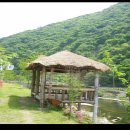 평화의댐 펜션 이미지