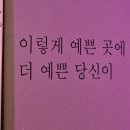 수원포차