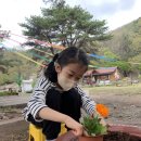 능주초등학교 이미지