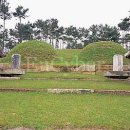 하니부인 이미지