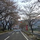 합천통닭집