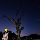 와락게스트하우스 | 제주 동부권 와락 게스트하우스 숙박 후기