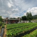 동남목장 이미지