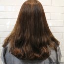 오헤어 oh!hair :: 강남구청 미용실 오헤어에서 애쉬브라운 염색했어요! 대만족!