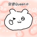 펩트위스트 이미지