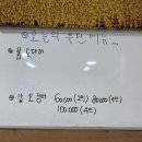 어풍선어 & 활어