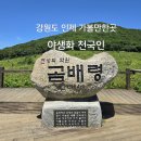 초원꽃화원 | 1296.야생화의 천국인 곰배령/곰배령 트래킹 코스/강원도 인제 가볼만한곳 /곰배령 트래킹