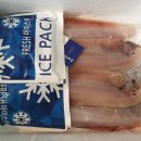 군산박대왕 이미지