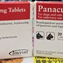 봄사랑약국 이미지