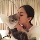 정 치과보존과 치과의원 이미지