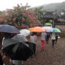 대구일중학교 Daum카페