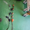 윌로펌프서비스 이미지