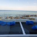 씨앤트리(Sea&Tree) 이미지