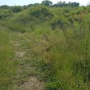 조천체육관 이미지