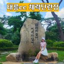 국제체력단련장 | 태릉체력단련장 태릉cc 폭염속 시원한날씨 서울골프장