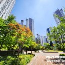 호매실서희부동산공인중개사사무소 이미지