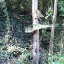 신성목장 이미지