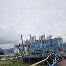 장성수퍼 | 장성 가을꽃축제 황미르랜드 솔직 후기