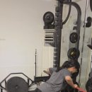 머슬바디짐 이미지