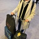 국도13호선 소나무길 | [일상]설날, 민족 대이동 시작! - 밀양 표충사, 만어사 방문 후기