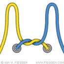 등산화 끈매기(Turquoise Turtle Knot (surgeon knot) 매듭) 이미지