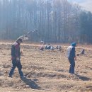 금문농장2 이미지