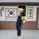 대일 합기도 체육관 이미지