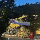 오르비에토 | [경북 청도] 야경 뷰가 예쁜 3번째 방문 카페 오르비에토 후기