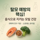 효과적인 스트레스 관리법 | 탈모 예방의 핵심! 음식으로 지키는 모발 건강과 스트레스 관리법