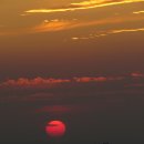 품다 하나 이미지