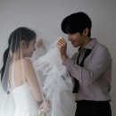 미모아 - 서구 | 미모아