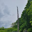 복성고 앞 삼거리 | 순천 송광사 서울 센트럴시티 직통버스 방문자여권