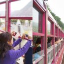 (주)탄광문화철암마을기업 봉화식당 | 동네한바퀴 봉화 백두대간 협곡열차 V트레인｜시간표·요금·예약방법 총정리