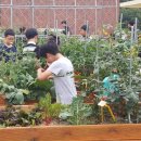 대이초등학교 이미지