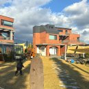 티에라 비바 이미지