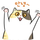 펫택시펫카 이미지