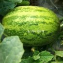 지후농장 이미지